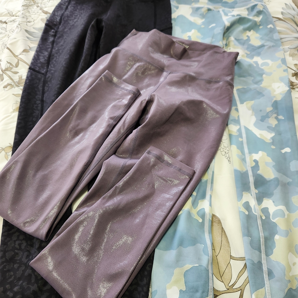 Jed North Women's Pants in Black, Purple, and Blue